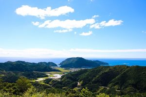 高知県四万十町×株式会社ぱど